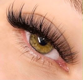 Lashes